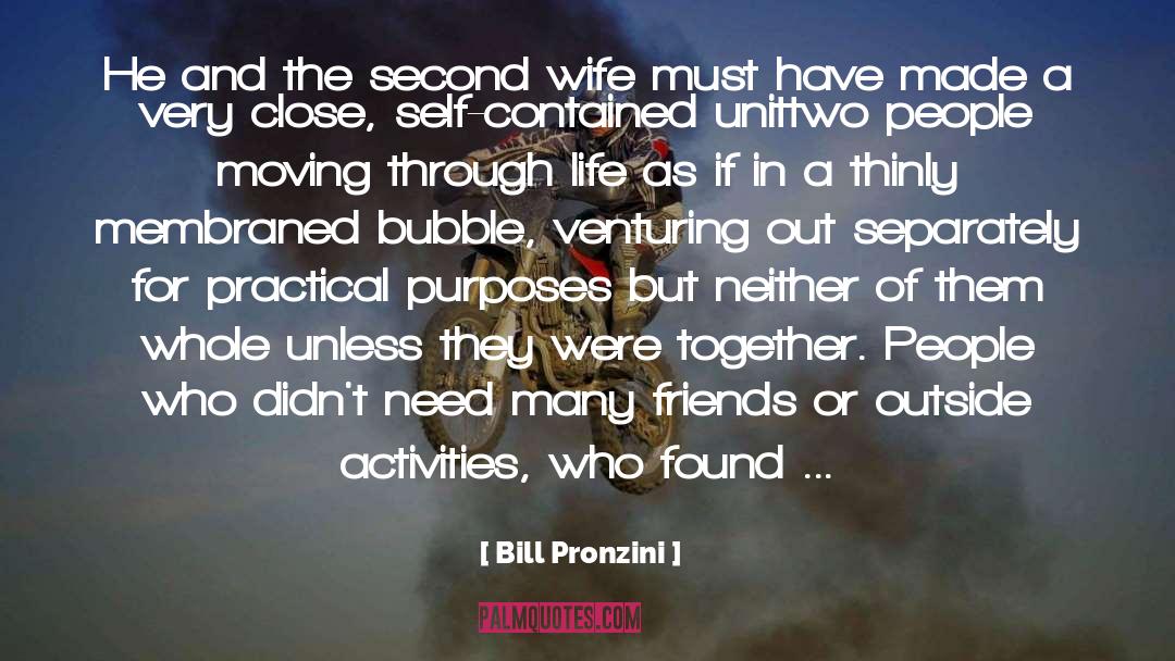 Ending A Relationship quotes by Bill Pronzini