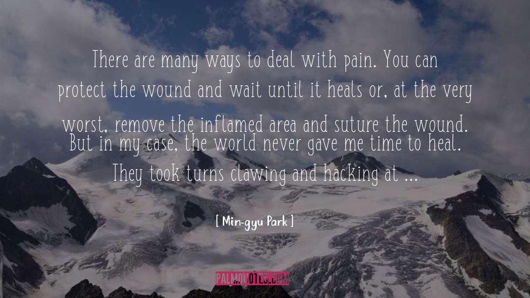 Ending Pain quotes by Min-gyu Park