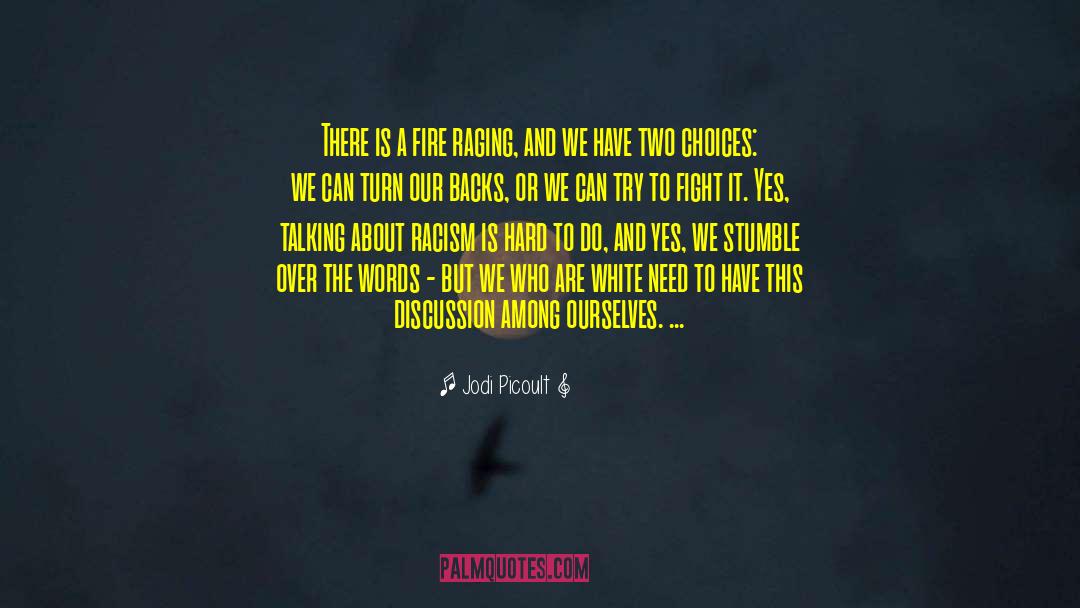 Ending Racism quotes by Jodi Picoult