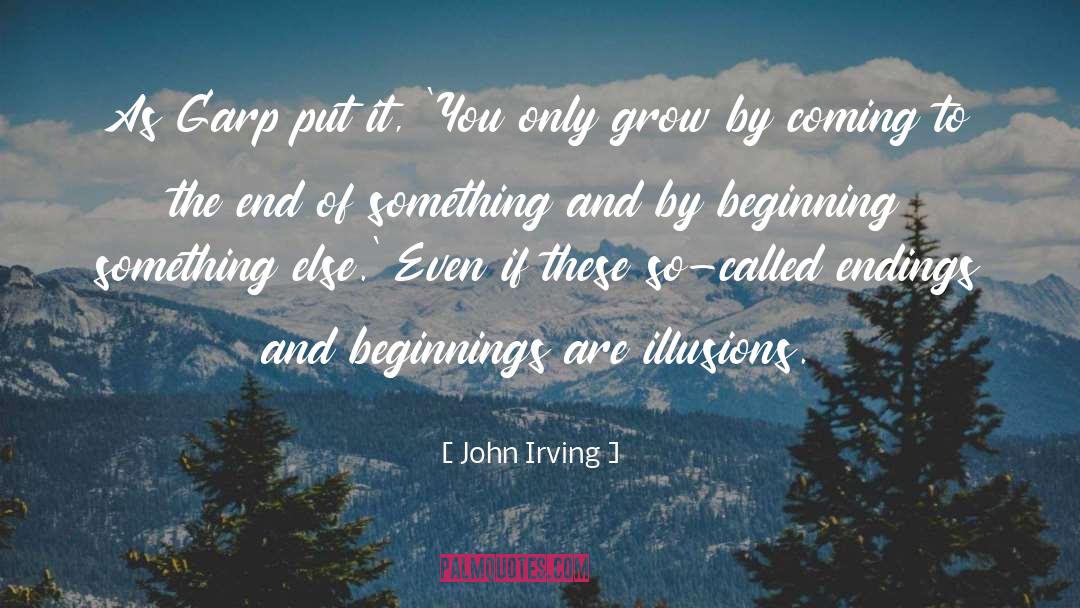 Endings And Beginnings quotes by John Irving