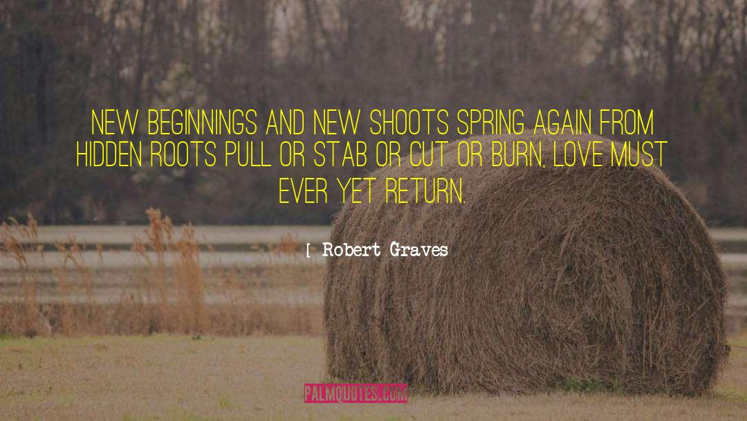 Endings New Beginnings quotes by Robert Graves