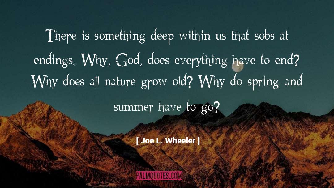 Endings quotes by Joe L. Wheeler