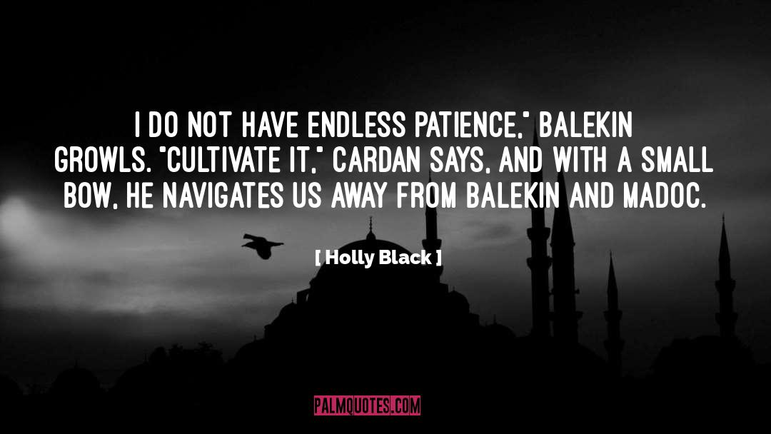 Endless Bummer quotes by Holly Black