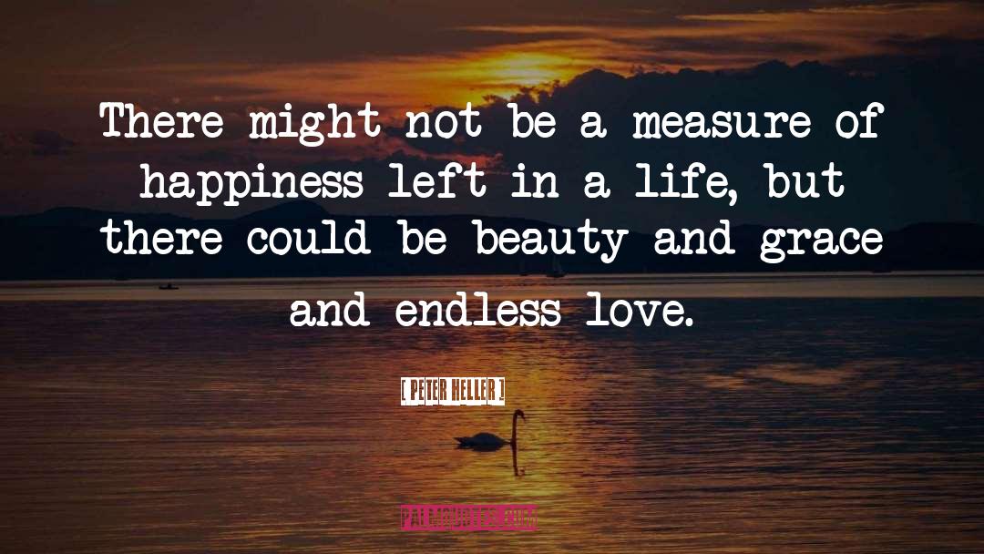 Endless Love quotes by Peter Heller