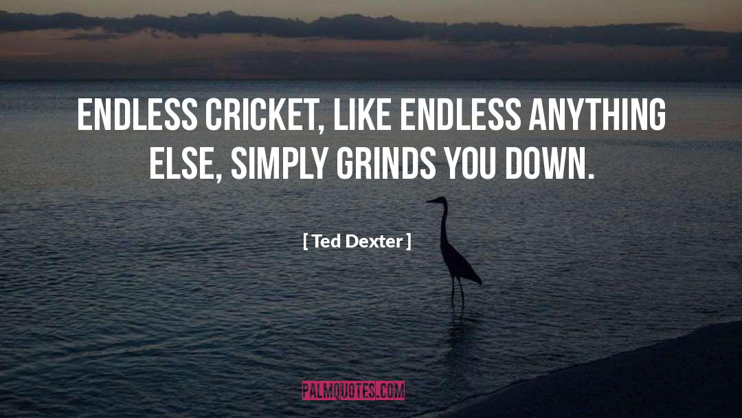 Endless Opportunities quotes by Ted Dexter