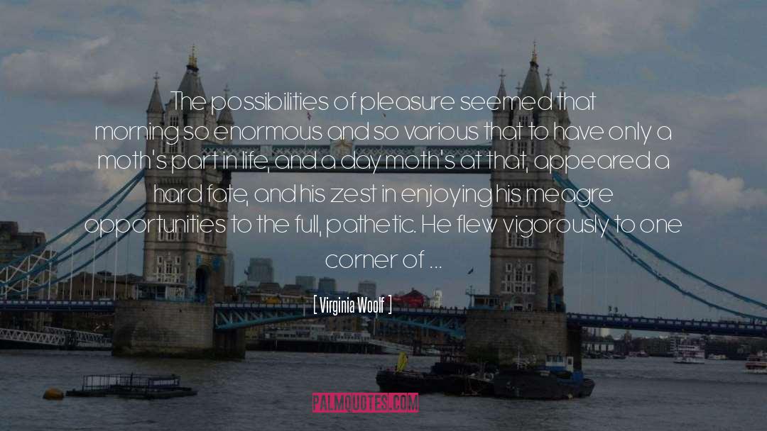 Endless Possibilities In Life quotes by Virginia Woolf