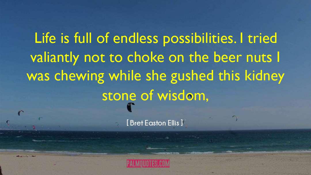 Endless Possibilities quotes by Bret Easton Ellis