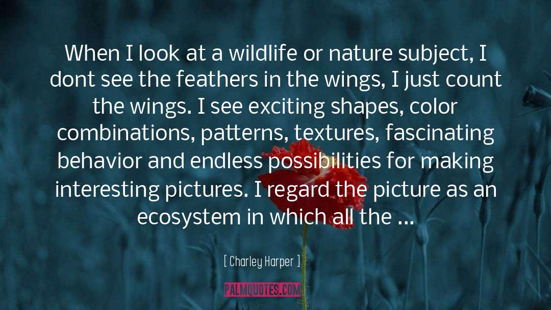 Endless Possibilities quotes by Charley Harper