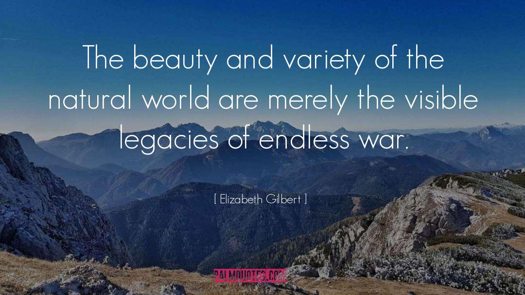 Endless War quotes by Elizabeth Gilbert