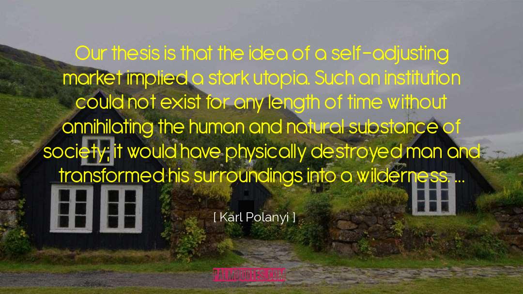 Endless Wilderness Of Time quotes by Karl Polanyi