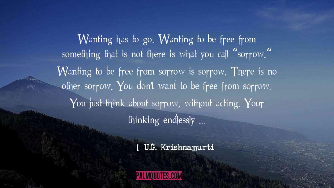 Endlessly quotes by U.G. Krishnamurti