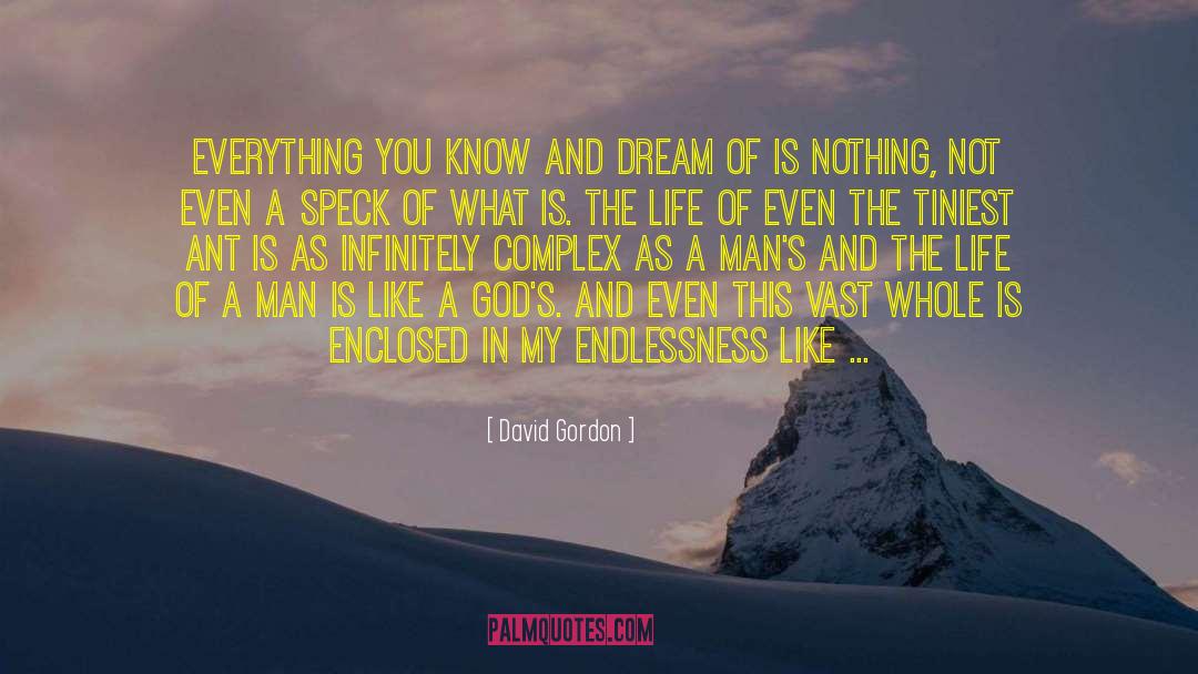 Endlessness quotes by David Gordon