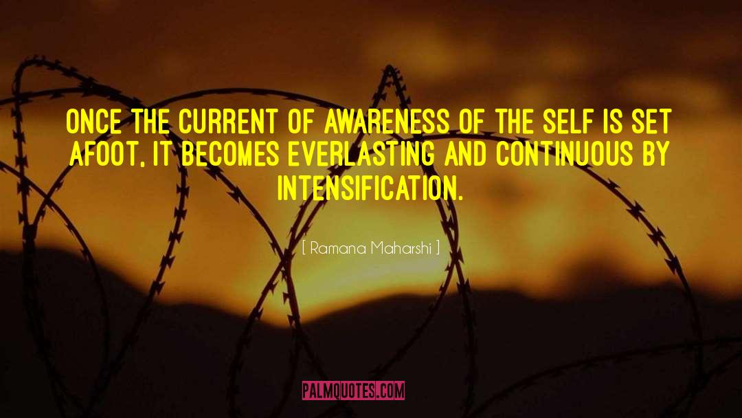 Endometriosis Awareness Month quotes by Ramana Maharshi