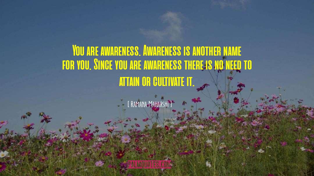 Endometriosis Awareness Month quotes by Ramana Maharshi