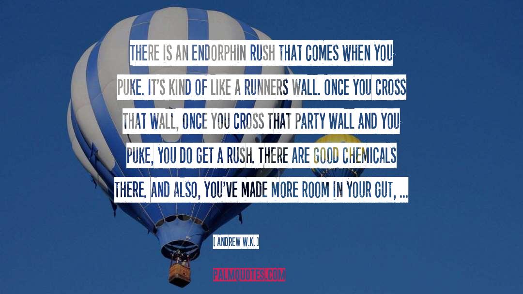 Endorphins quotes by Andrew W.K.