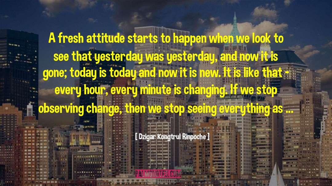 Endurance And Attitude quotes by Dzigar Kongtrul Rinpoche
