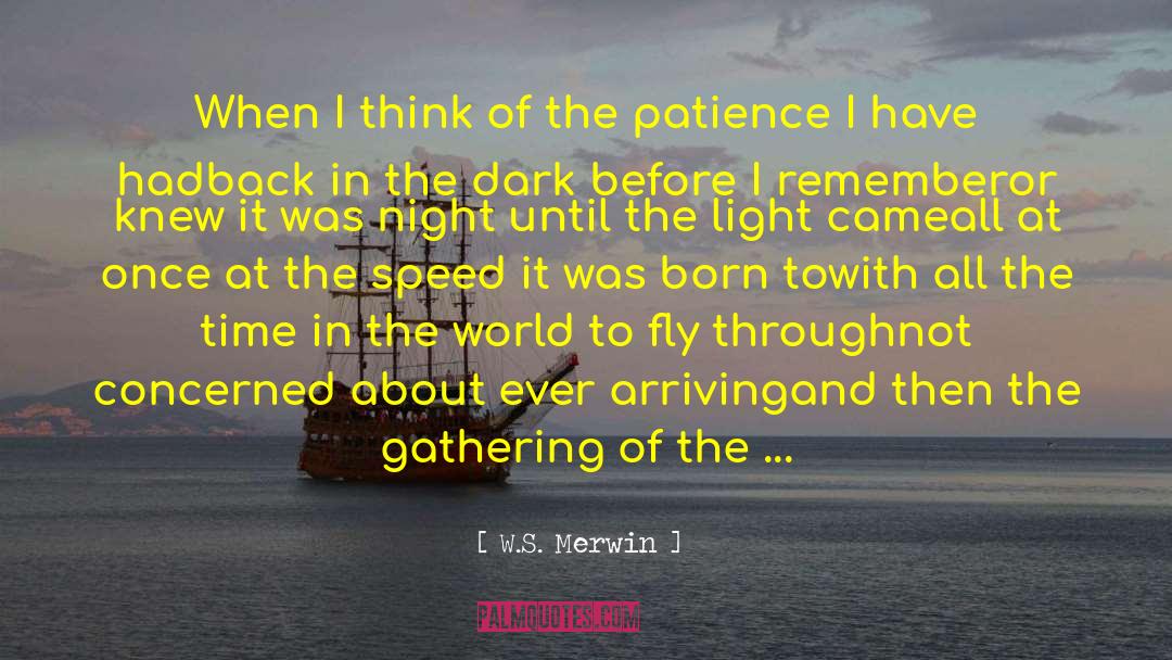 Endurance Patience quotes by W.S. Merwin