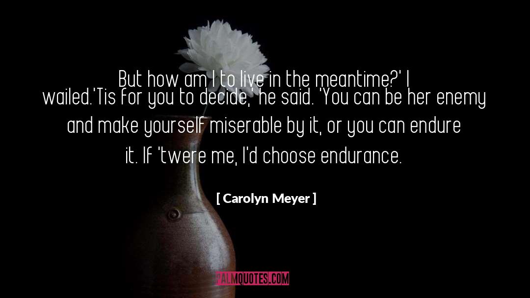 Endurance quotes by Carolyn Meyer