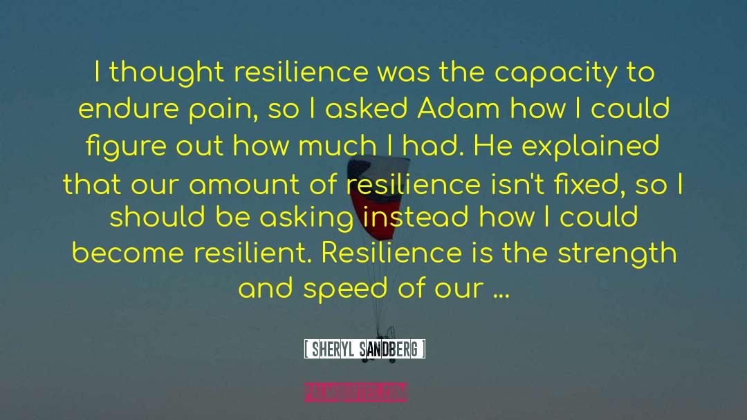 Endure Pain quotes by Sheryl Sandberg
