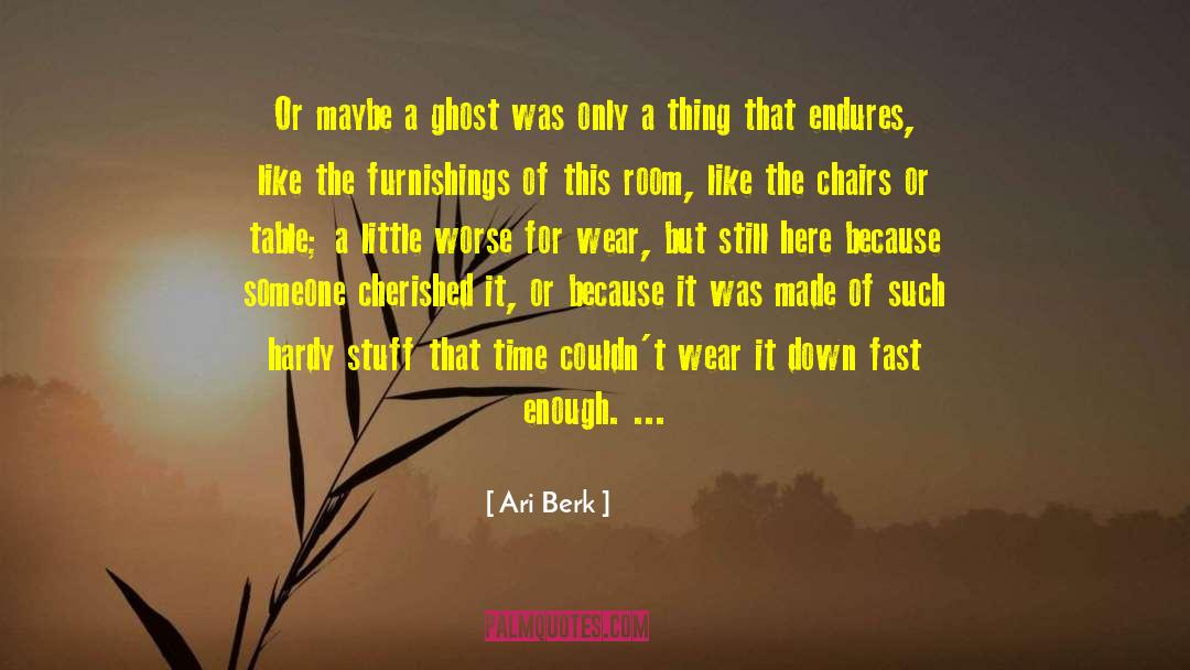 Endures quotes by Ari Berk