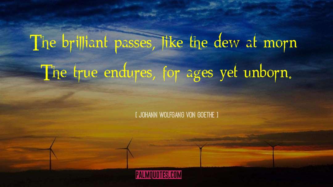 Endures quotes by Johann Wolfgang Von Goethe