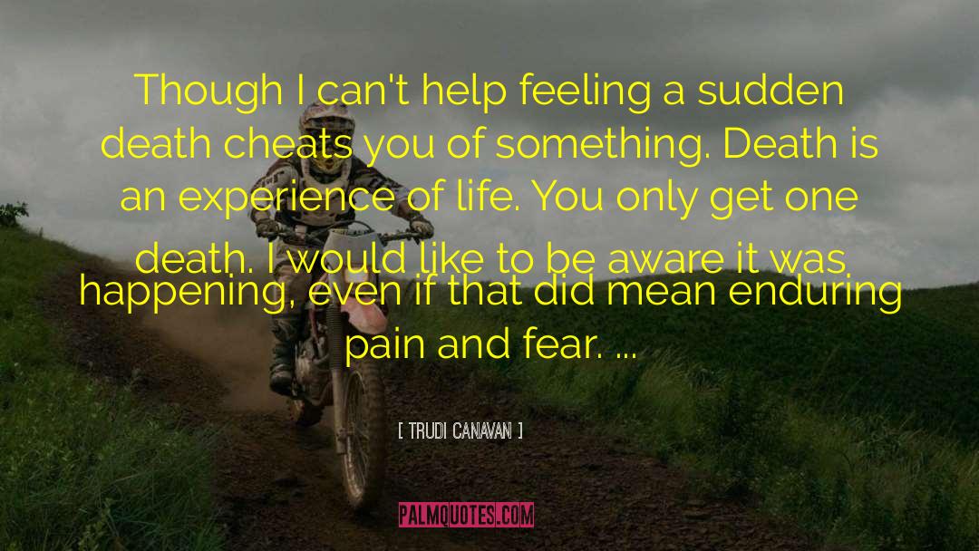 Enduring Pain quotes by Trudi Canavan