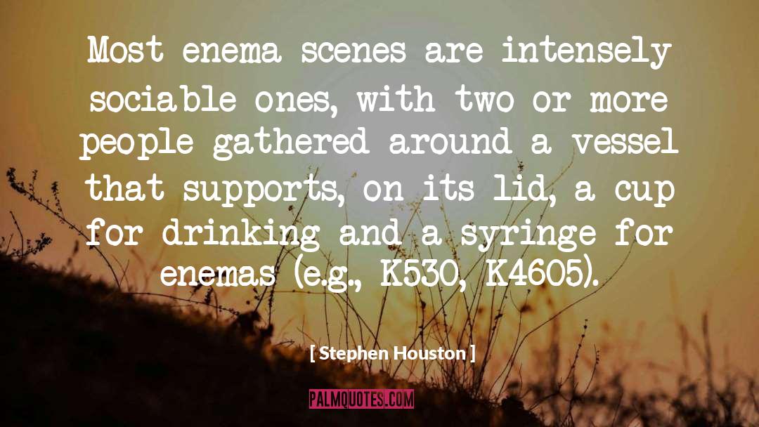 Enema quotes by Stephen Houston