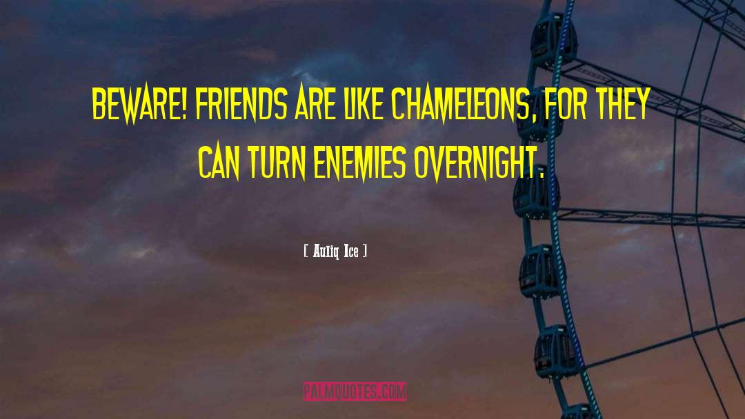 Enemies And Opposition quotes by Auliq Ice