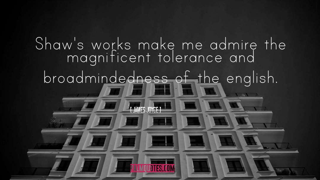 Enemies And Tolerance quotes by James Joyce