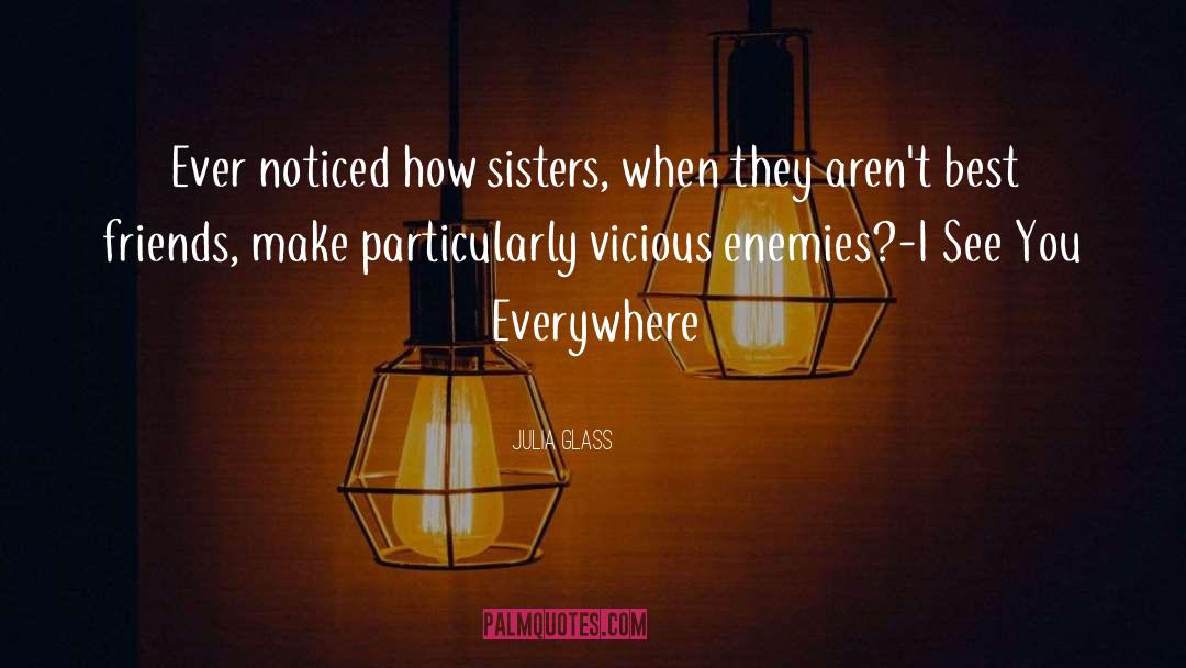 Enemies quotes by Julia Glass