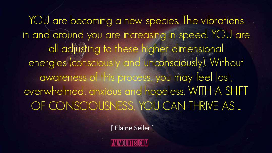 Energetics quotes by Elaine Seiler