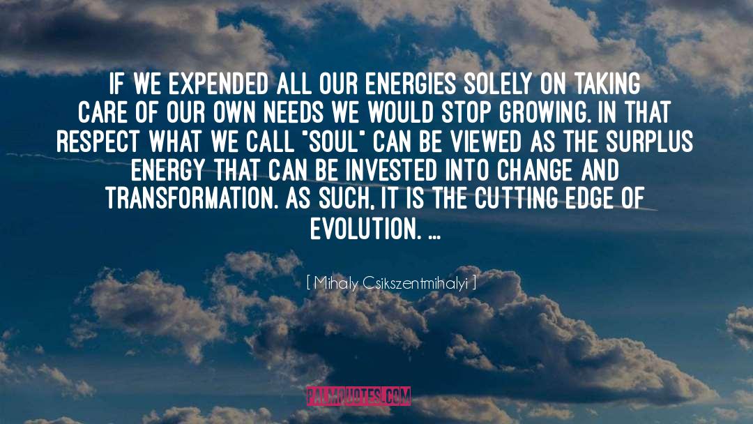 Energies quotes by Mihaly Csikszentmihalyi