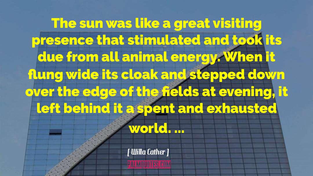 Energy Behind Creation quotes by Willa Cather