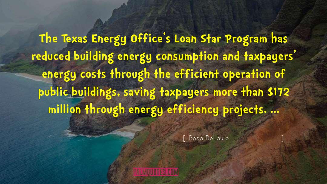 Energy Consumption quotes by Rosa DeLauro