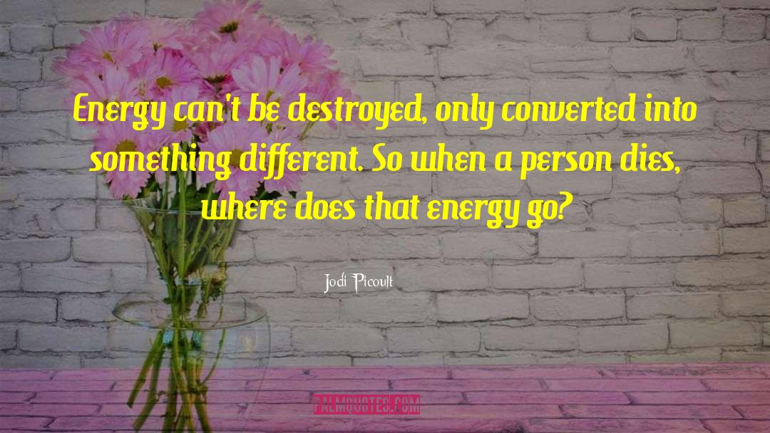 Energy Efficiency quotes by Jodi Picoult