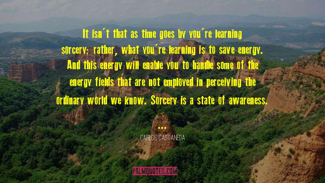 Energy Fields quotes by Carlos Castaneda