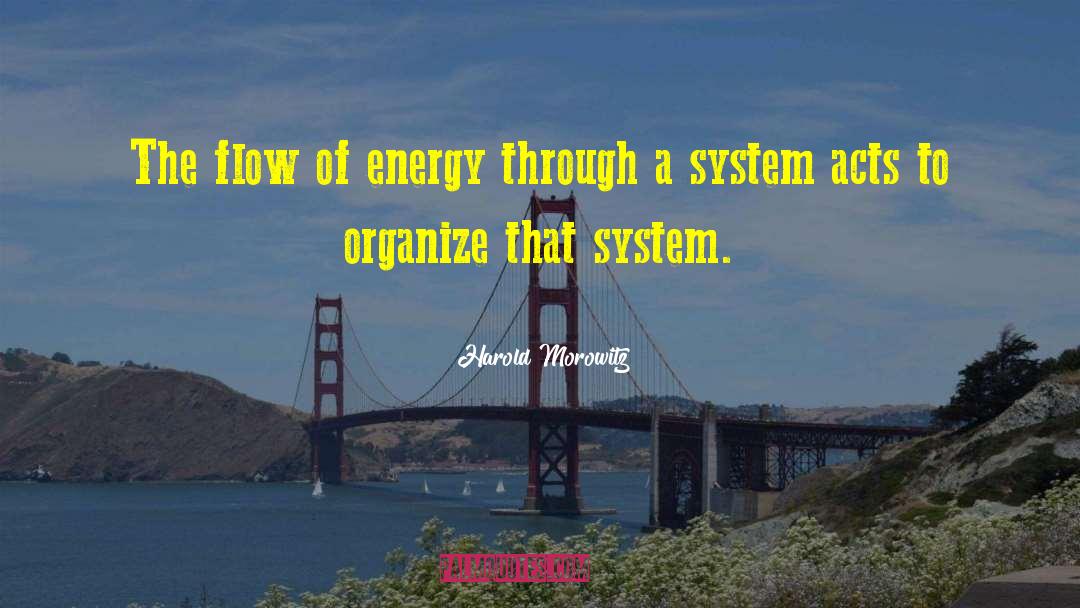 Energy Flow quotes by Harold Morowitz