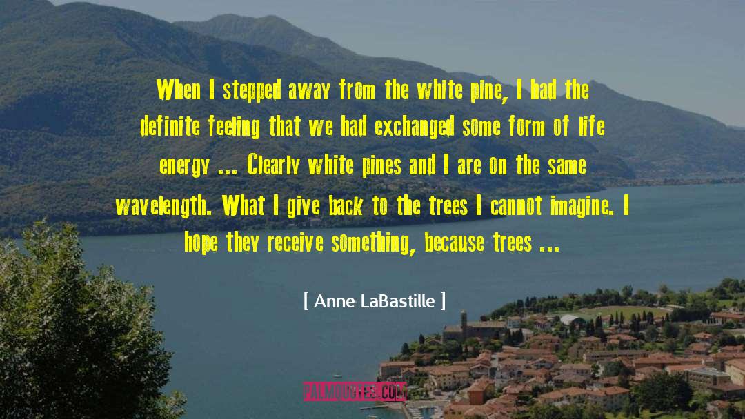 Energy Giving quotes by Anne LaBastille