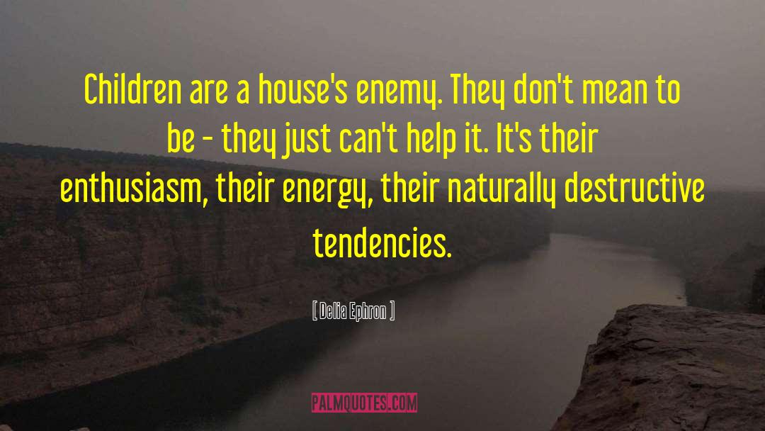 Energy Help quotes by Delia Ephron