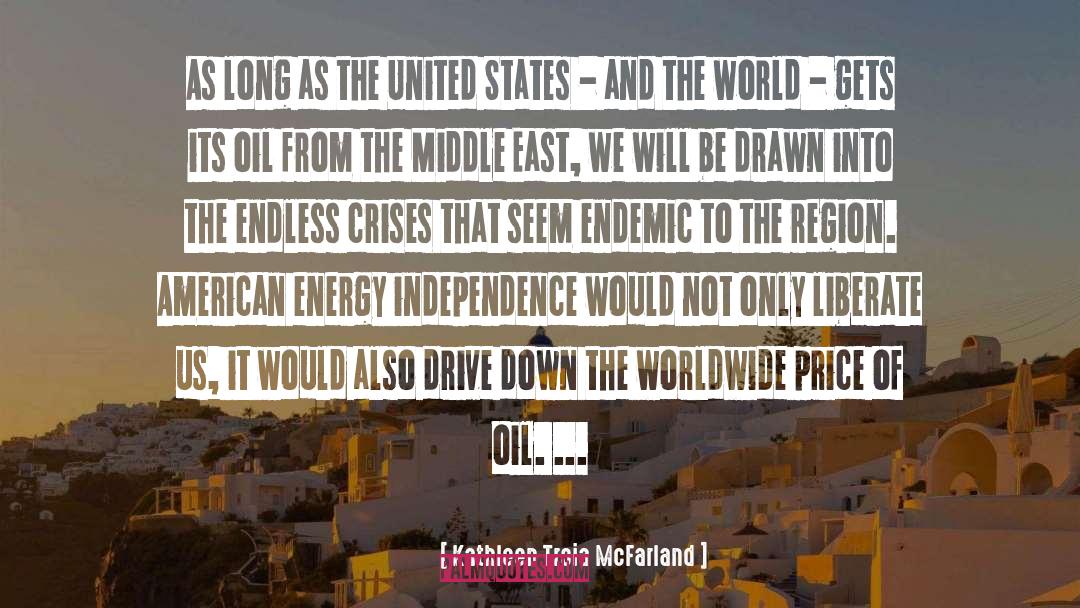 Energy Independence quotes by Kathleen Troia McFarland