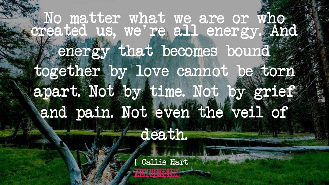 Energy Love quotes by Callie Hart