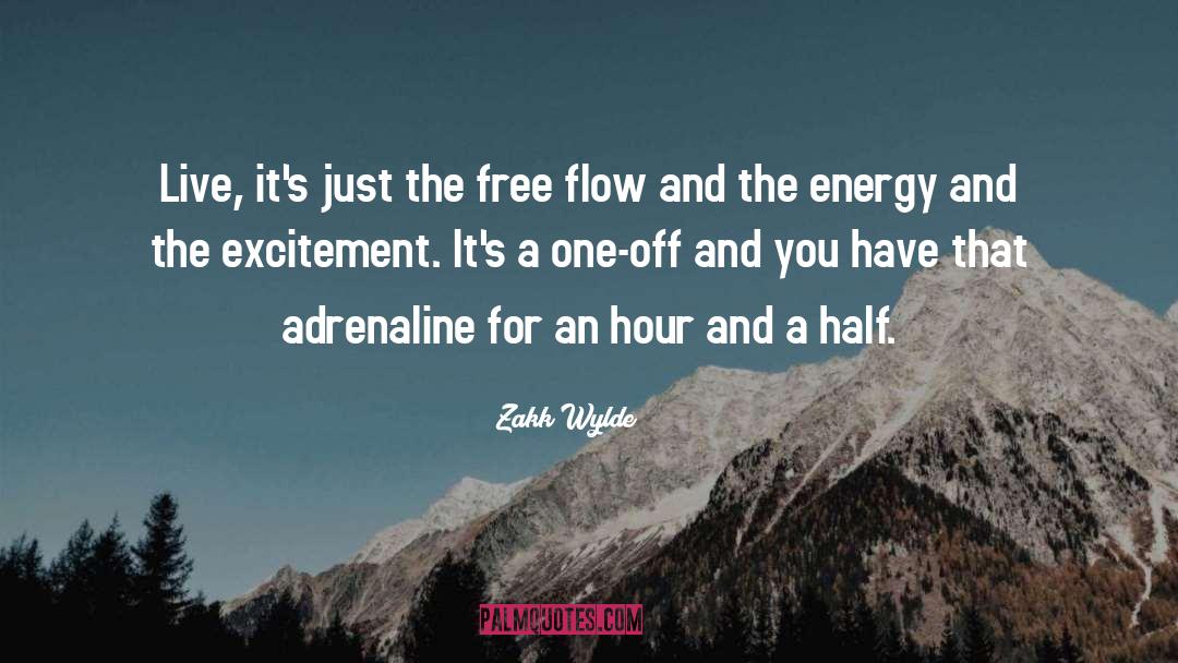 Energy Medicine quotes by Zakk Wylde