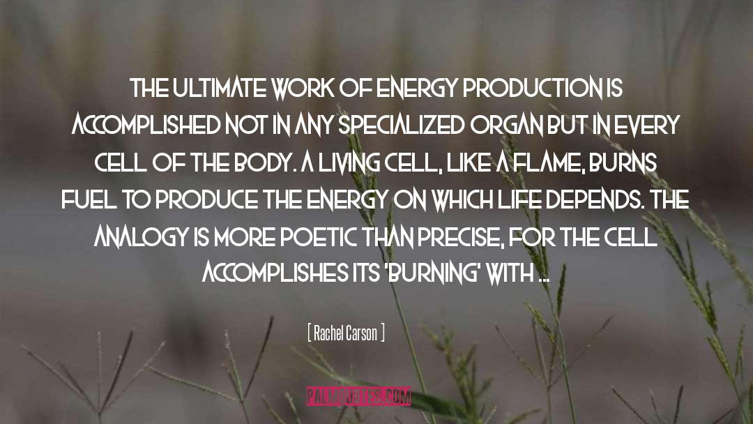 Energy Of Life quotes by Rachel Carson