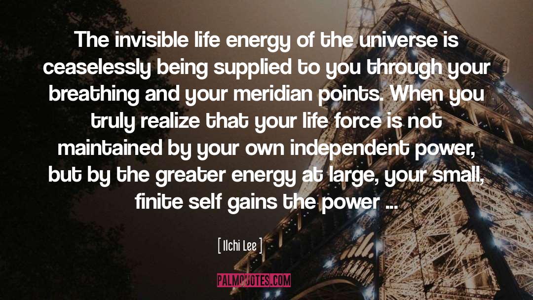 Energy Of The Universe quotes by Ilchi Lee