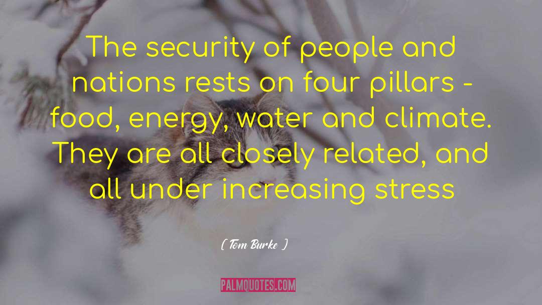 Energy Security quotes by Tom Burke