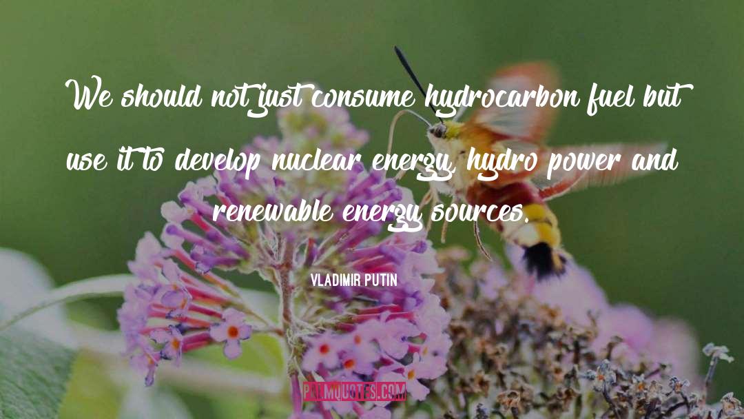 Energy Sources quotes by Vladimir Putin