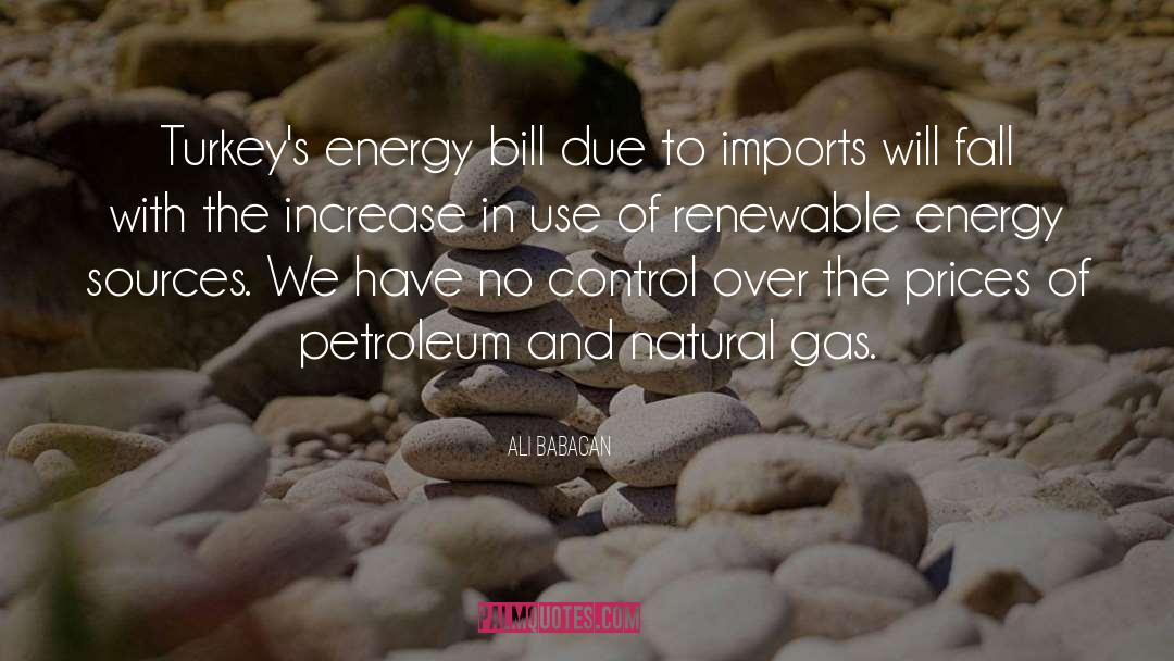 Energy Sources quotes by Ali Babacan
