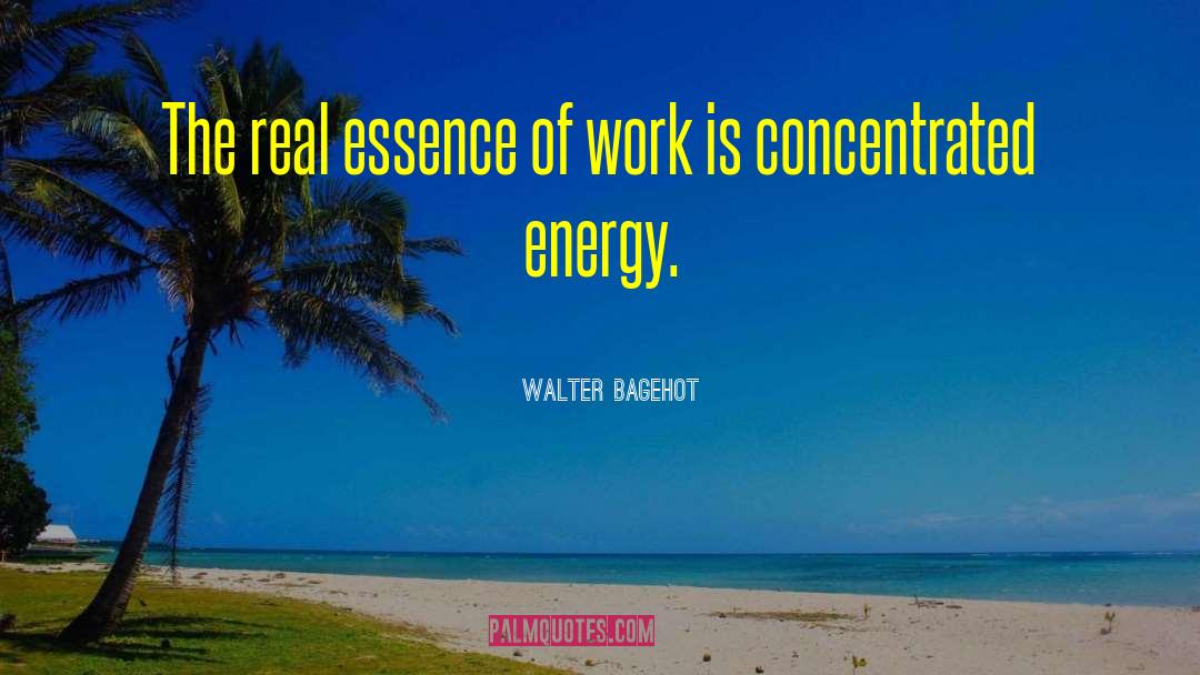 Energy Worker quotes by Walter Bagehot