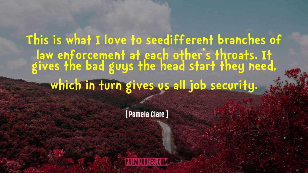 Enforcement quotes by Pamela Clare