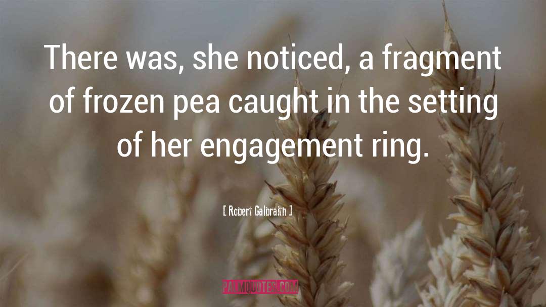 Engagement quotes by Robert Galbraith